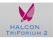 Halcon