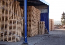 Actio Wood sp. z o.o.: producent palet drewnianych, palety drewniane na zamówienie, elementy do palet drewnianych Zachodniopomorskie