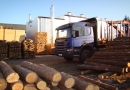 Actio Wood sp. z o.o.: producent palet drewnianych, palety drewniane na zamówienie, elementy do palet drewnianych Zachodniopomorskie