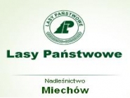 Nadleśnictwo Miechów: ochrona lasów państwowych, sprzedaż drewna i sadzonek, gospodarka leśna