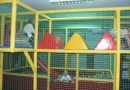 Centrum Zabaw Rozbrykana polana Chrzanów: miejsce zabaw dla dzieci, opieka nad dziećmi, sala urodzinowa, zabawa w kulach, warsztaty plastyczne