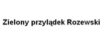 Zielony przylądek Rozewski: miejsca noclegowe nad morzem, domki holenderskie, domki do wynajęcia Jastrzębia Góra