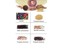 Soforek: producent wafli do lodów, lody w proszku, wafle słodkie, surowce do lodziarni, wafle wytłaczane, lody mrożone Szamocin