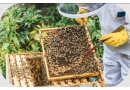 Agro-Mal Lubaczów: środki ochrony roślin, podłoża, sprzedaż nawozów, narzędzia ogrodnicze, nasiona, ziemia, folie