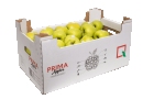 Prima Group Sp. z o.o.: eksport jabłek, jabłka przemysłowe, jabłka export, jabłka handel, Warka, Grójec