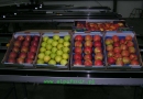 Elpa Fruit Sp. z o.o.: produkcja i dystrybucja owoców, wiśnie i czereśnie, gruszki, jabłka Bielany