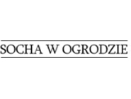 Socha w ogrodzie Głowno: projektowanie, wykonawstwo ogrodów