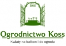 Ogrodnictwo Wiesława Koss Gdynia: kwiaty rabatowe, hodowla kwiatów doniczkowych, hodowla kwiatów balkonowych, obsadzanie doniczek