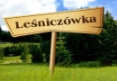 Gospodarstwo Agroturystyczne Tadeusz Mrzygłocki Torzym: noclegi, kwatery prywatne, wczasy