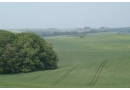 Urząd Gminy Zawonia